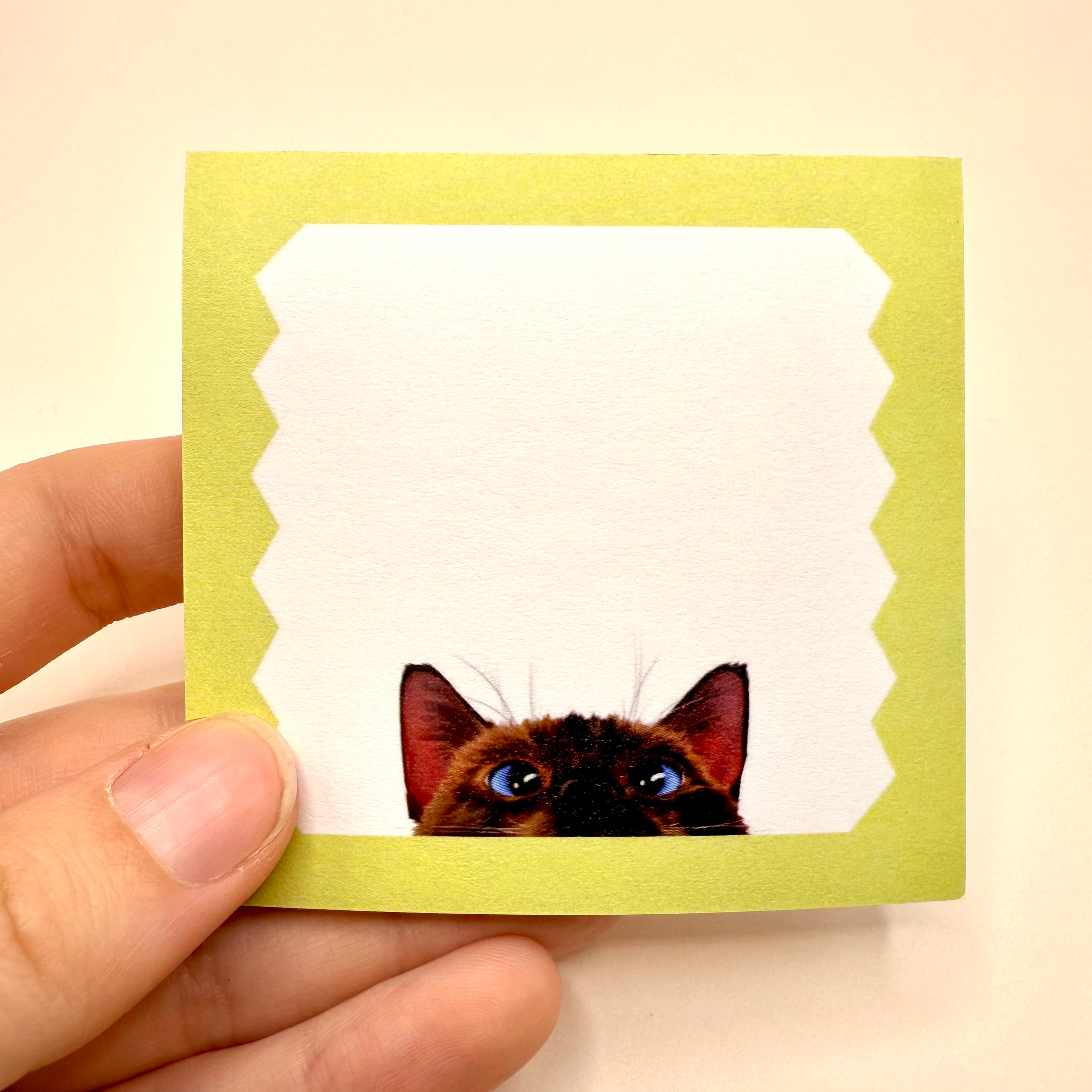 Cat Loaf Studio - Wholesale Sticky Notes - Peeking Cat Post-It Note (Siamese)0