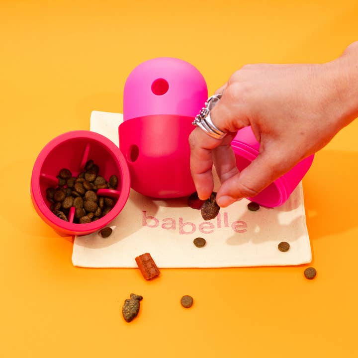 Babelle For Dogs - Wholesale Speeltje - Hond - De Fun Feeder - Snackdispenser - Lik speeltje13