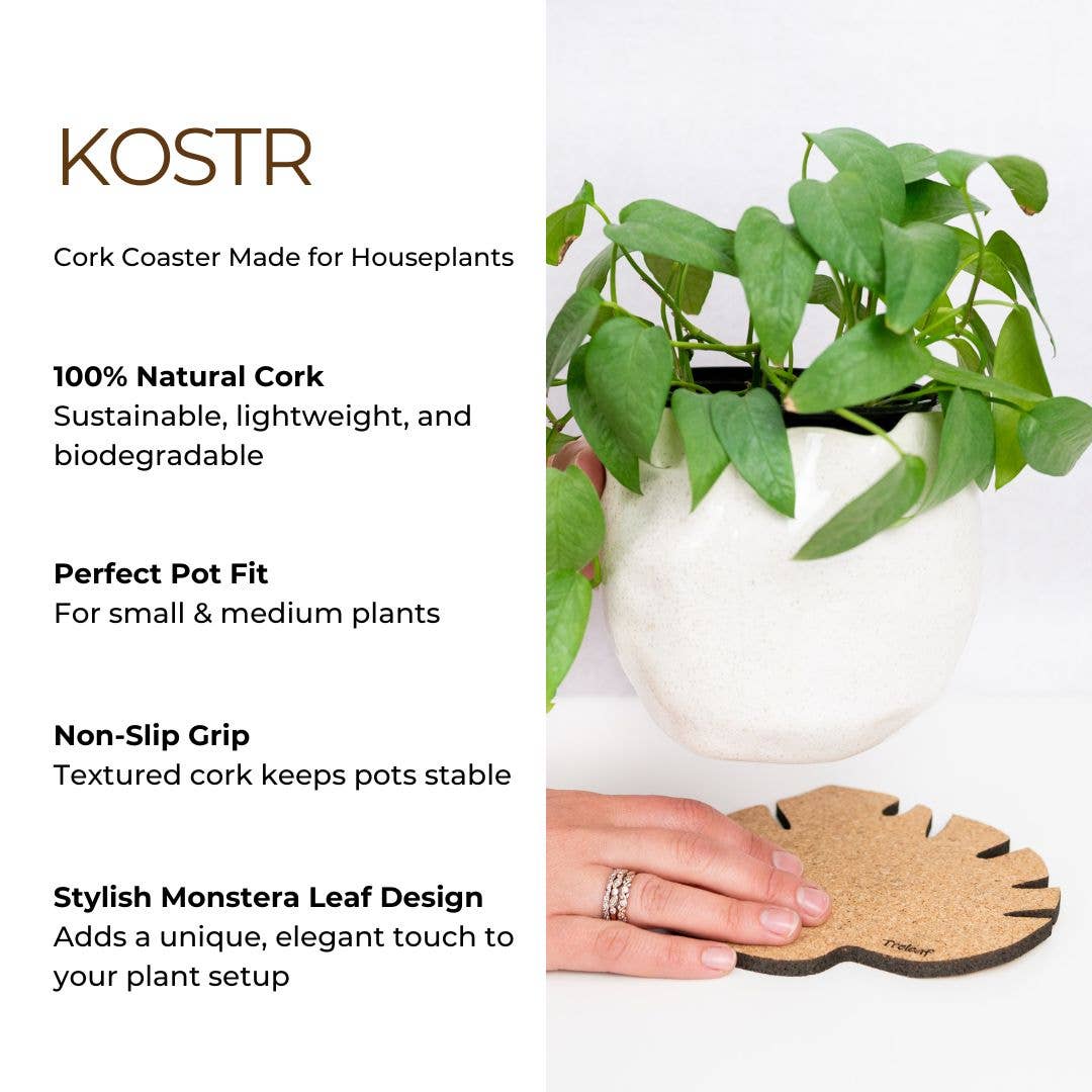 Treleaf - Wholesale Plant pot - Kostr™ - Monstera Leaf-shaped  cork plant pot coaster7