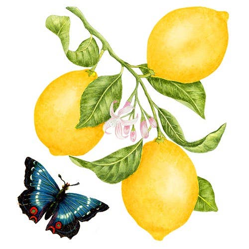 Flour Sack Towels (Set of 2) 34-490 Lemons for wholesale by Alice's Cottage