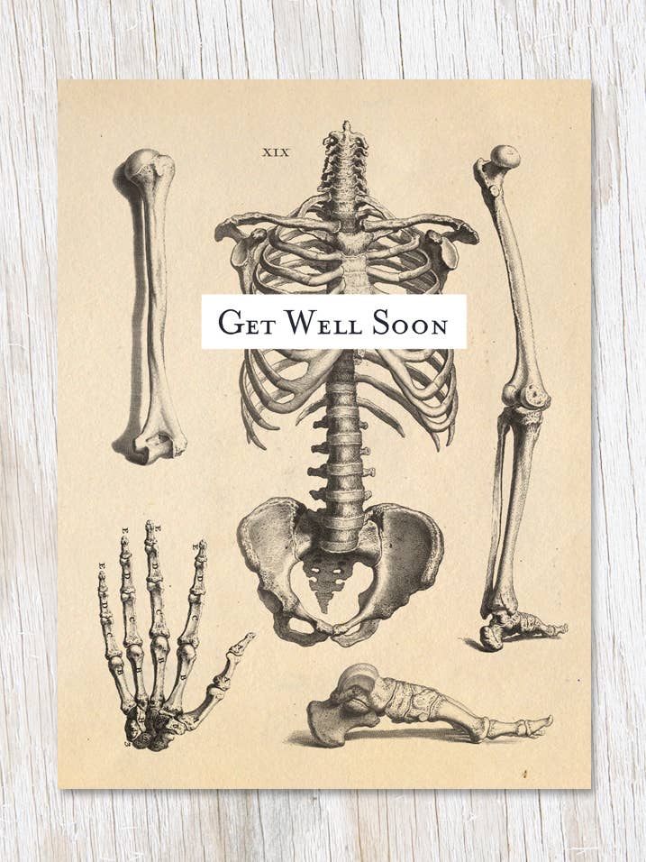 Cartão de Melhoras com Esqueleto (Caixa de 6) por atacado de Cognitive Surplus