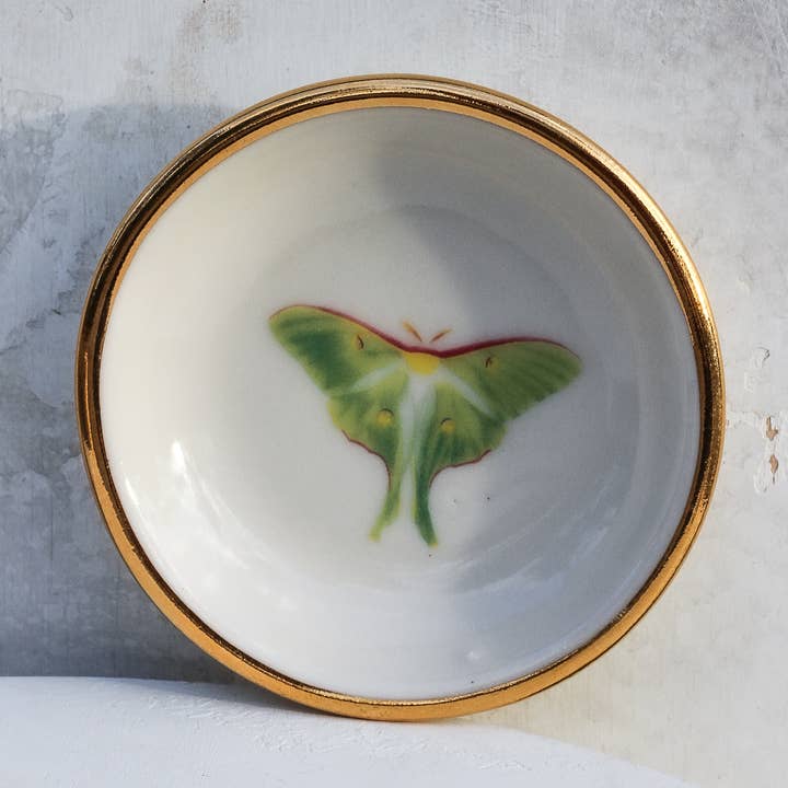 Luna Moth Trinket Dish | Ring Dish | Handmade for wholesale by Apricity Ceramics