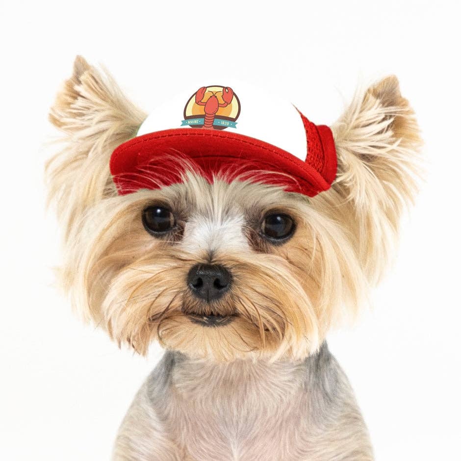 PupLid - Wholesale Pet Hat - Dog - Lobster Standard or Namedrop | Trucker Hat for Dogs0