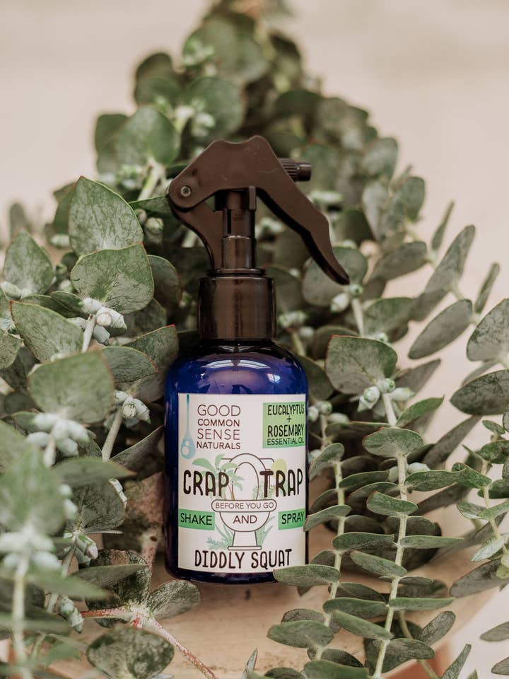 Diddly Squat, Toilet Spray for wholesale by GOOD COMMON SENSE NATURALS