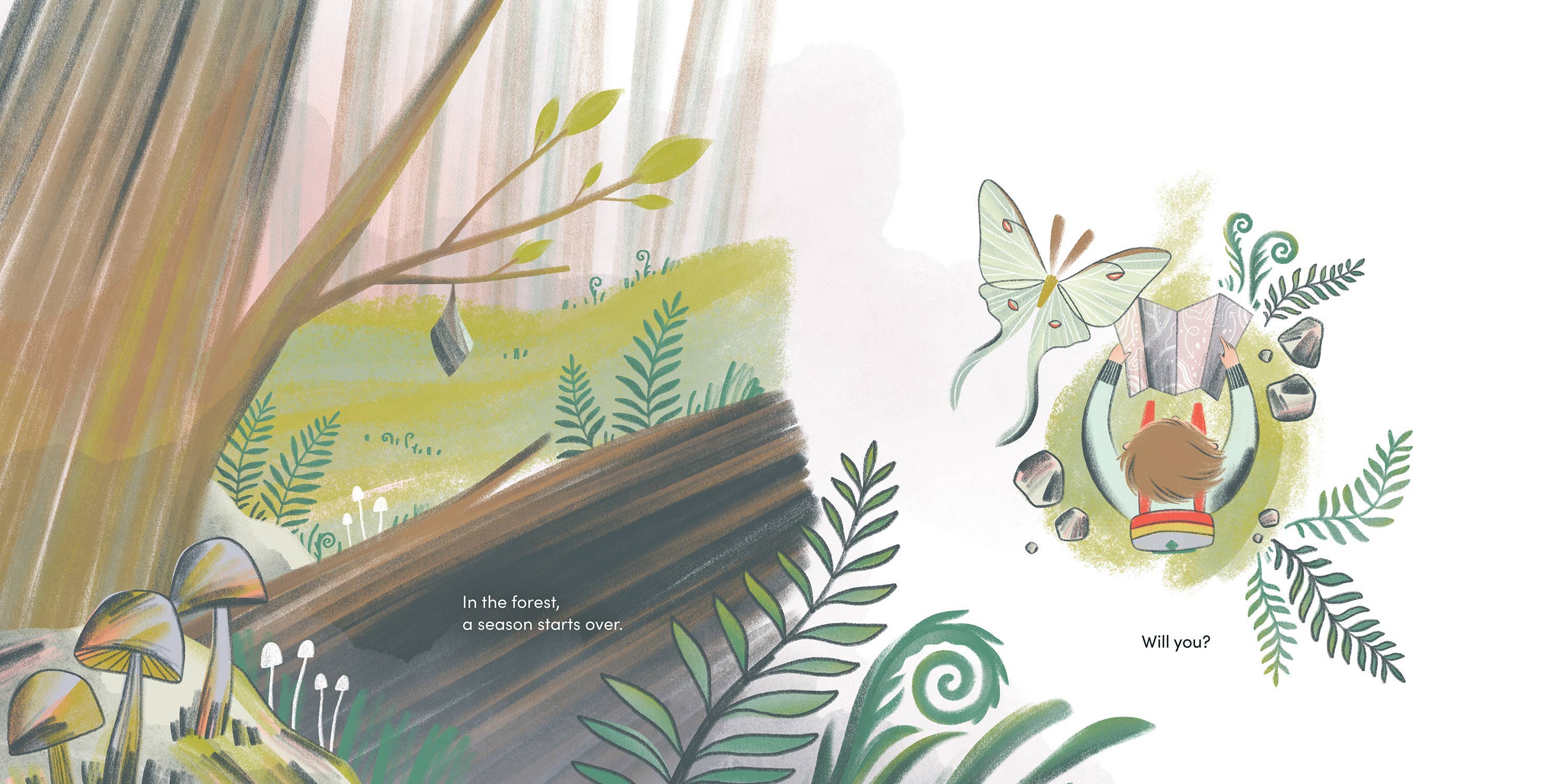 Hachette Book Group - Wholesale Preschool Book (3-5) - Brave Like Fireweed by Jesse White7