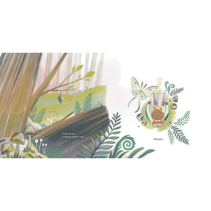 Hachette Book Group - Wholesale Preschool Book (3-5) - Brave Like Fireweed by Jesse White7