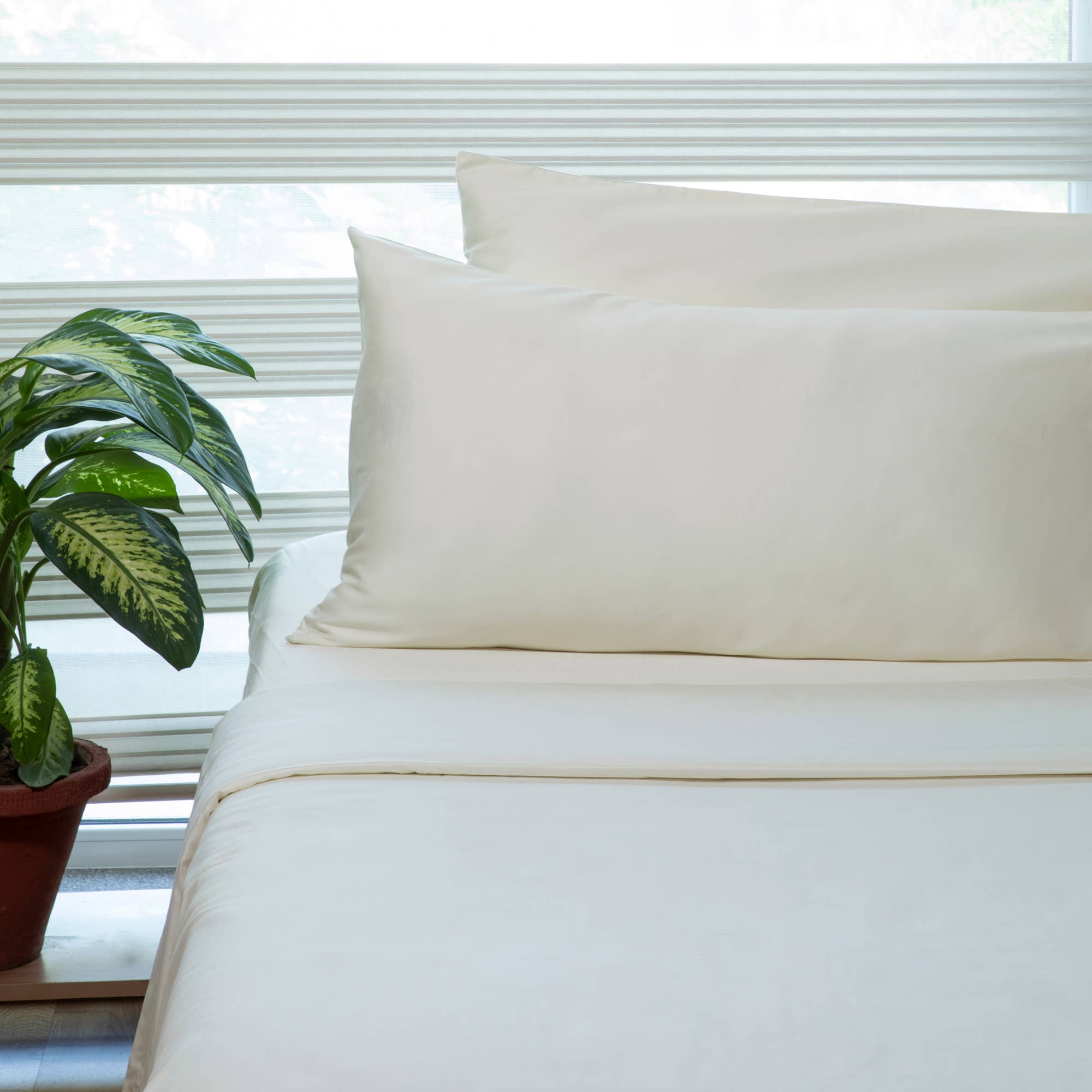 Fabdreams Organic – wholesale Sheet set – Fabdreams 400 Thread Count Organic Cotton Sheet Set5