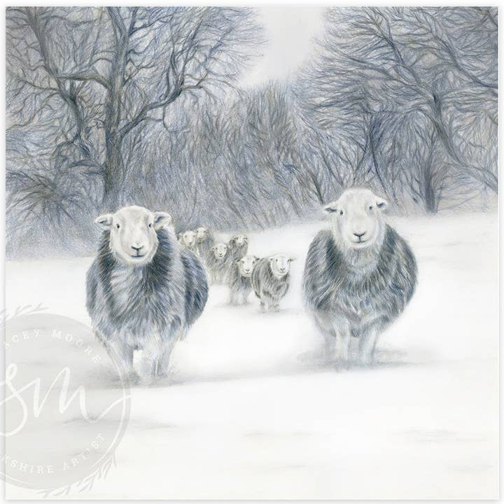 Winter Coat for wholesale by Stacey Moore Ltd