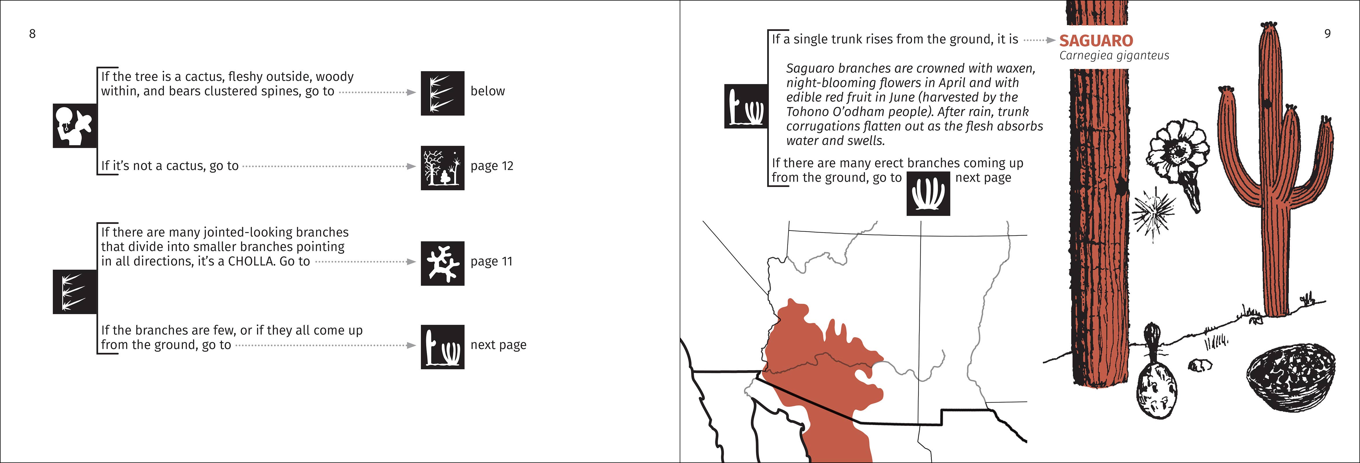AdventureKEEN - Wholesale Nature & Outdoors - Desert Tree Finder 2e10