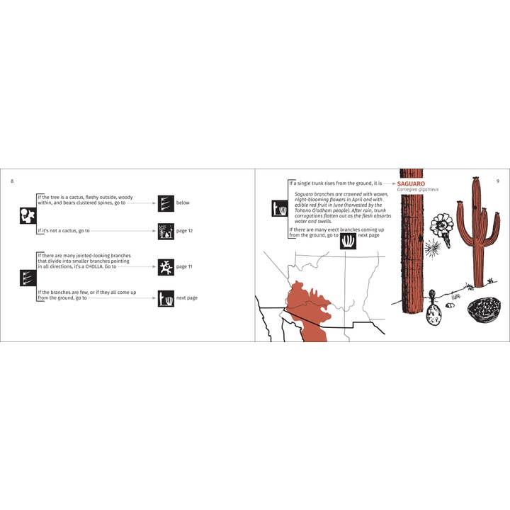 AdventureKEEN - Wholesale Nature & Outdoors - Desert Tree Finder 2e10