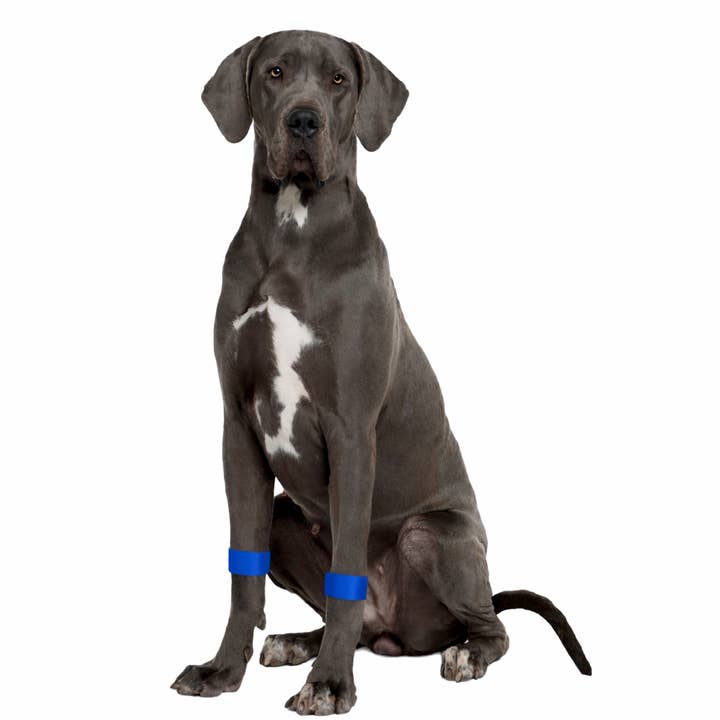 Faixa de Ansiedade para Cães – Calma e Alívio do Stress – Bem-Estar para Animais de Estimação Fácil de Colocar por atacado de AcuBracelet