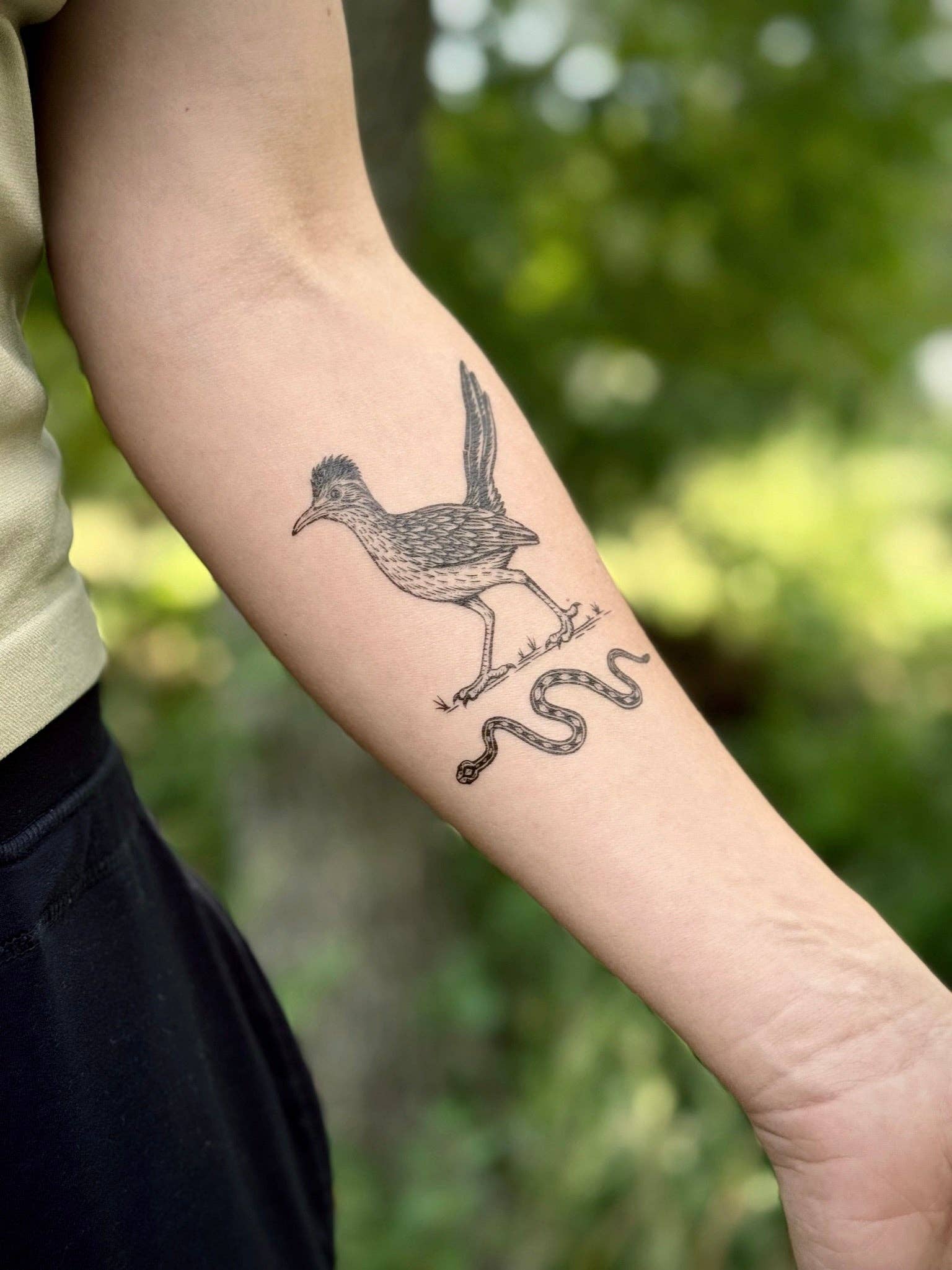 NatureTats - Wholesale Temporary Tattoo - Roadrunner Temporary Tattoo0