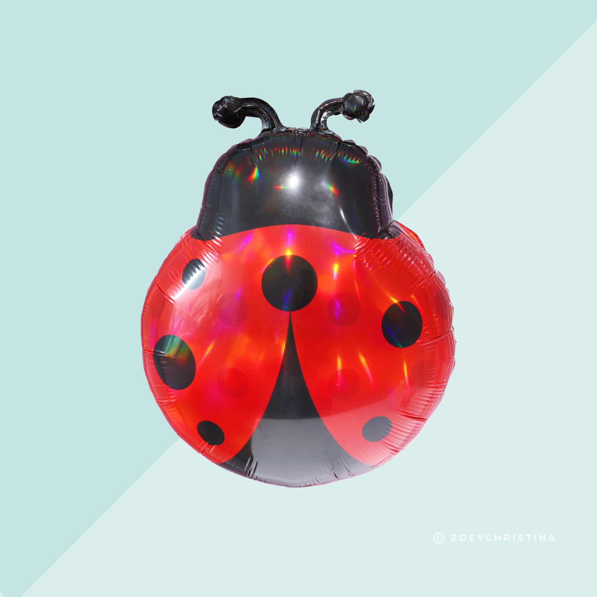 Zoey Christina - Wholesale Balloon - Ladybug Foil Balloon – Garden, Bug & Spring-Themed Party 2