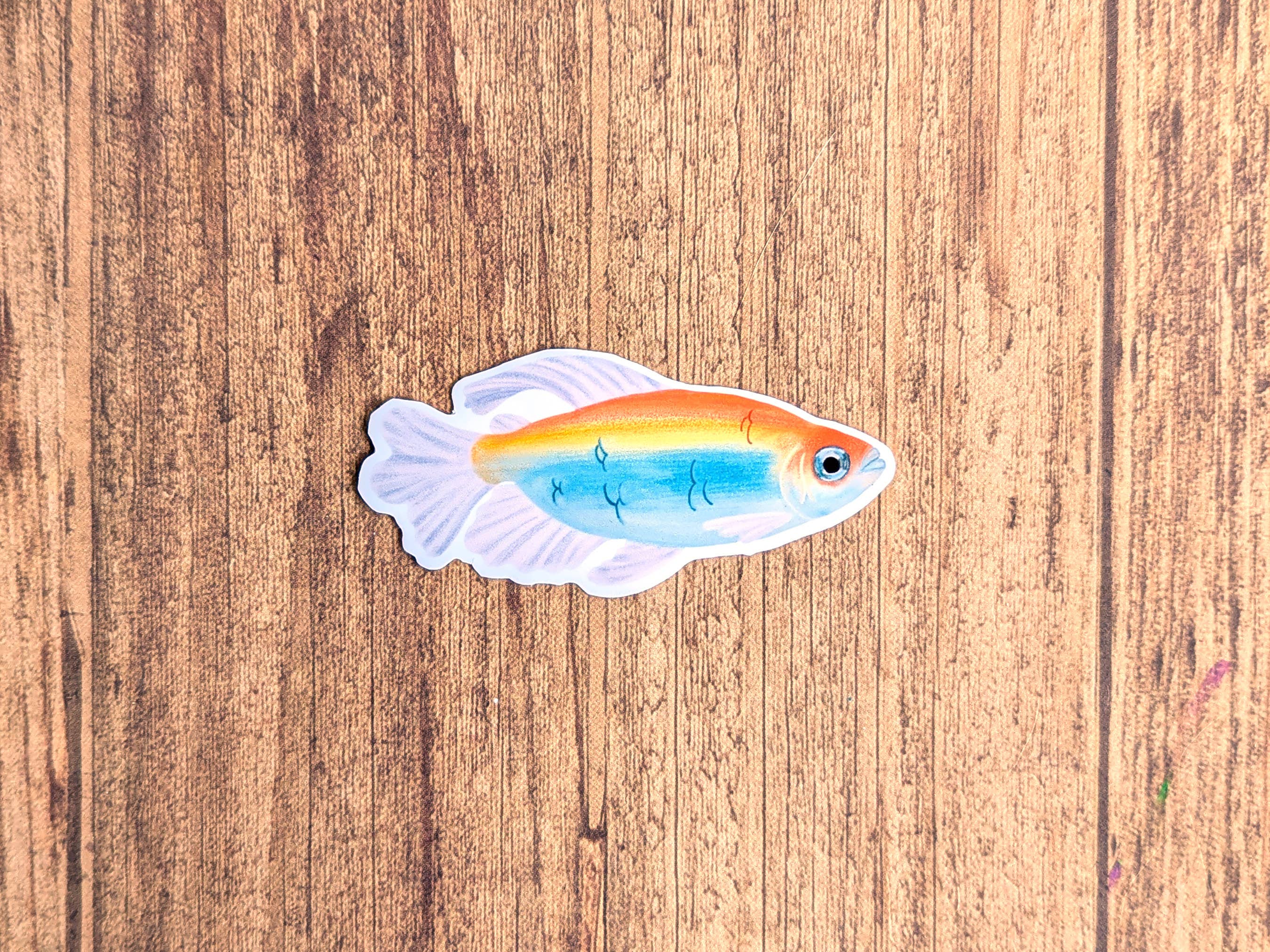 Proper Wolf - Wholesale Sticker - Congo Tetra Fish Vinyl Sticker Decal1