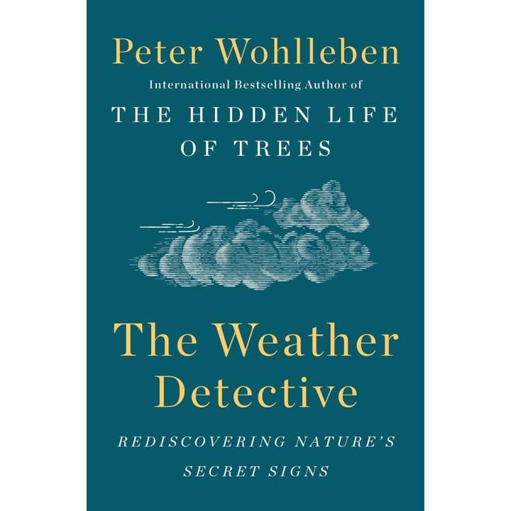 Weather Detective: Rediscovering Nature's secret signs for wholesale by Microcosm Publishing & Distribution
