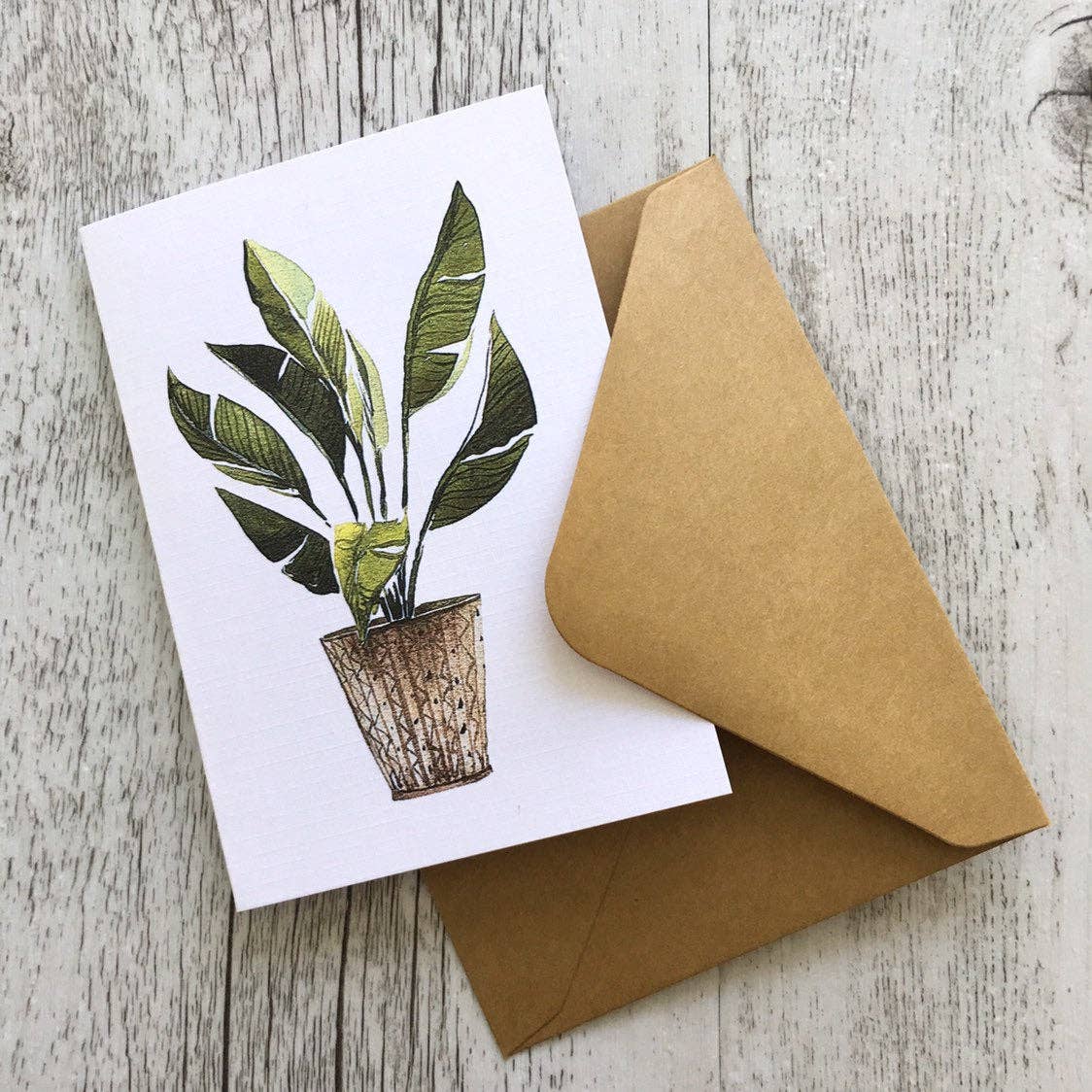 Scattered Seed Co - Wholesale Stationery/Notecard Set - POTTED PLANTS Collection 1 greeting cards set of 43