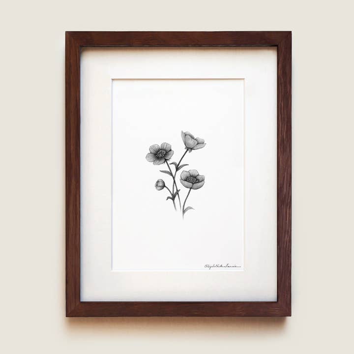 Fiori di Ranuncolo | Stampa d'Arte Fine per la vendita all'ingrosso da parte di ElizabethAnnFrancis