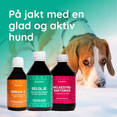 DogNikita - Wholesale Pet Supplement - Dog - DogNikita - Seal oil 300 ml4