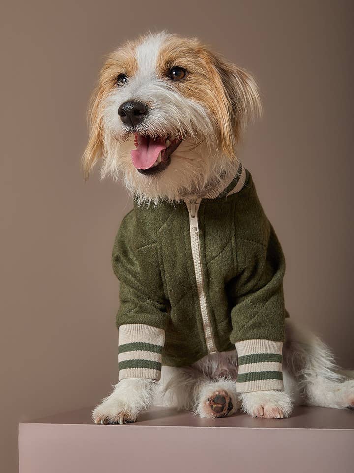 Grüne gesteppte Bomberjacke MOSS für den Großhandel von The Striped Dog