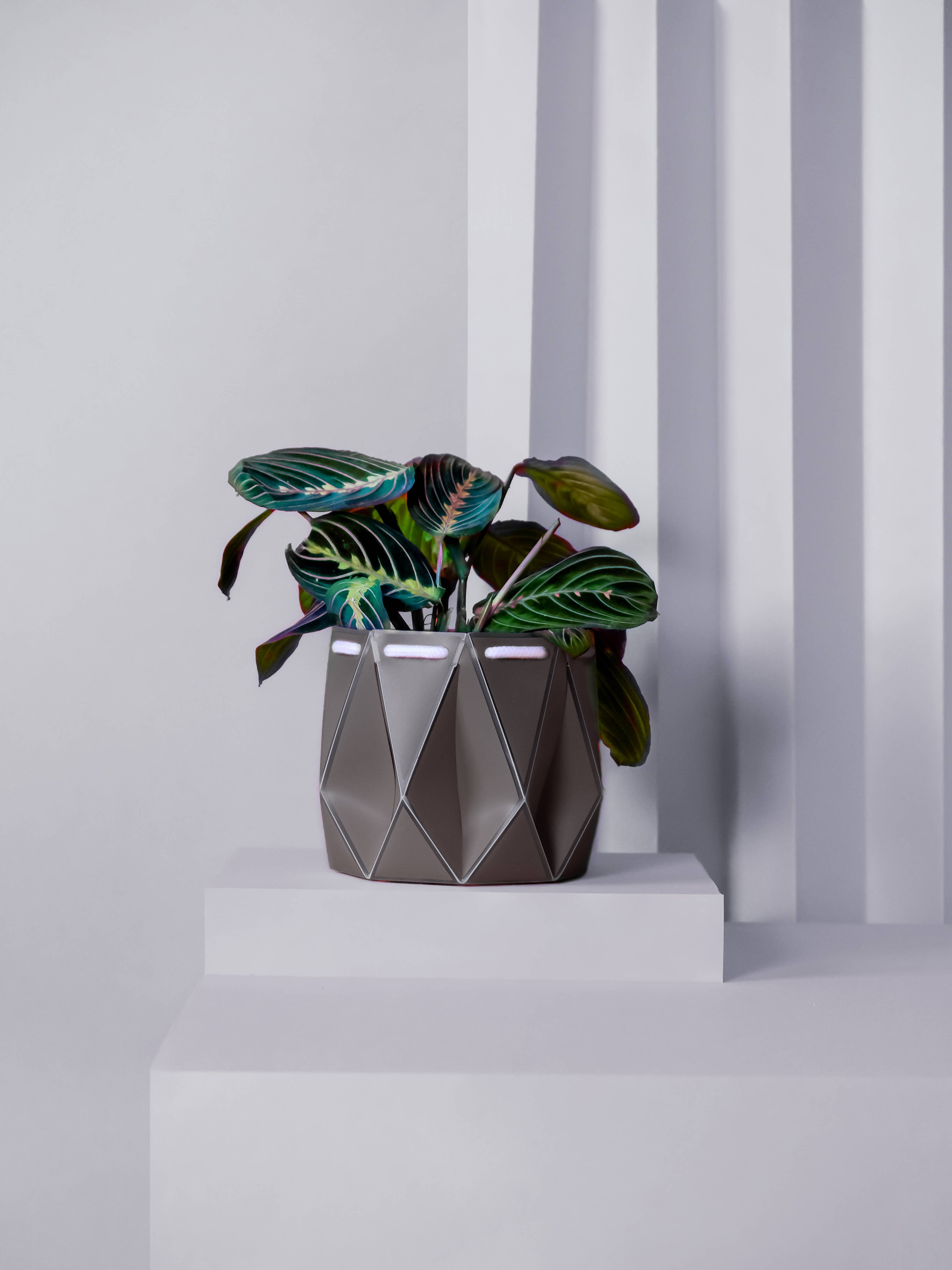 POTR - Wholesale Plant pot - 15cm Self-watering POTR | Slate Grey
