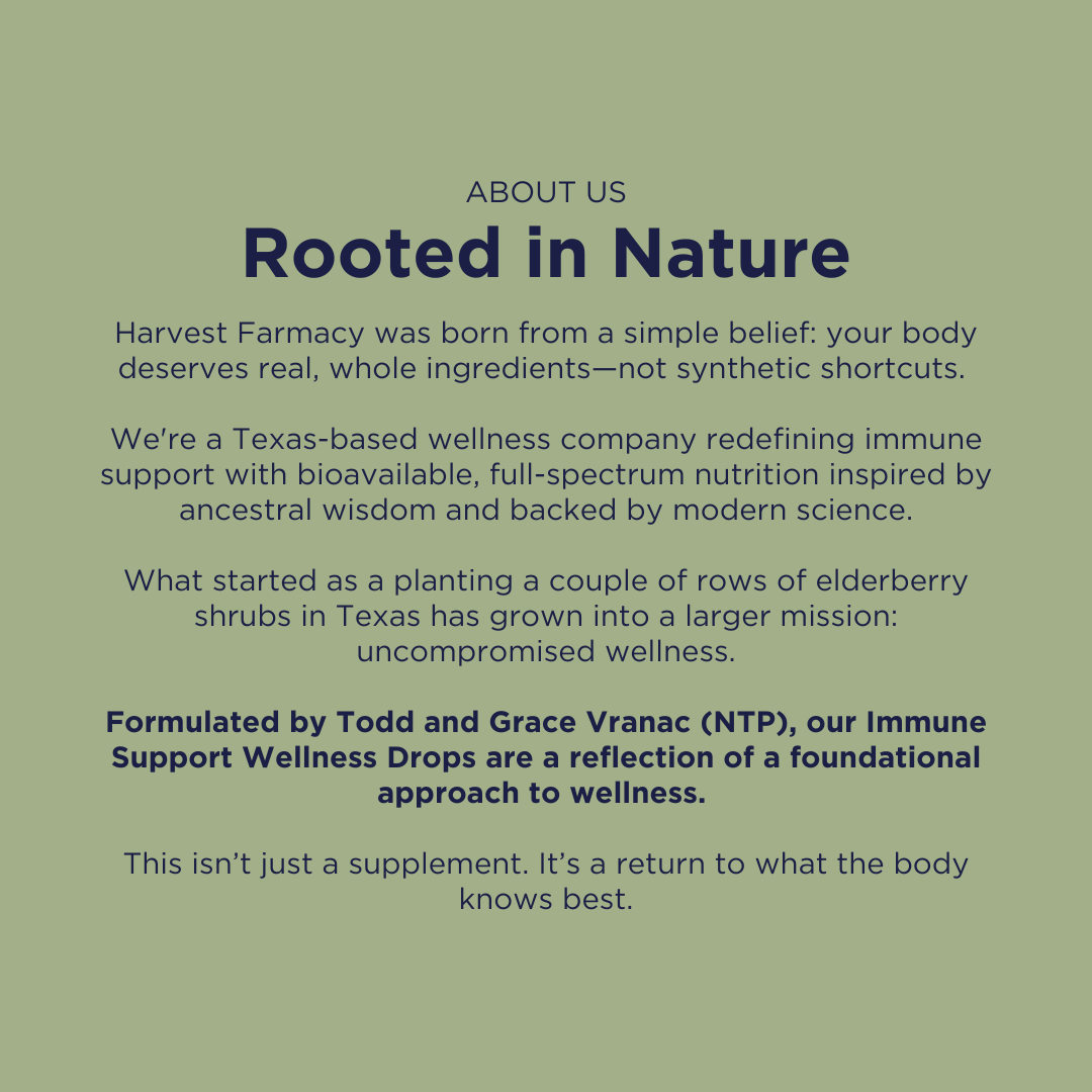 Harvest Farmacy - Wholesale Oral Supplement/Vitamin - Immune Support Elderberry Wellness Drops12