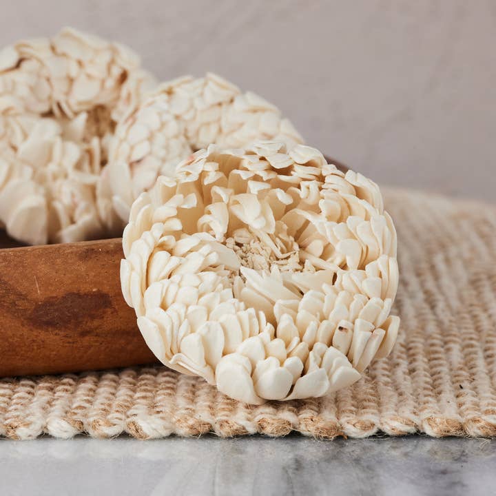 Spider Mum (sola wood flower) - 1.5 Inches - Set of 12 for wholesale by Oh You're Lovely