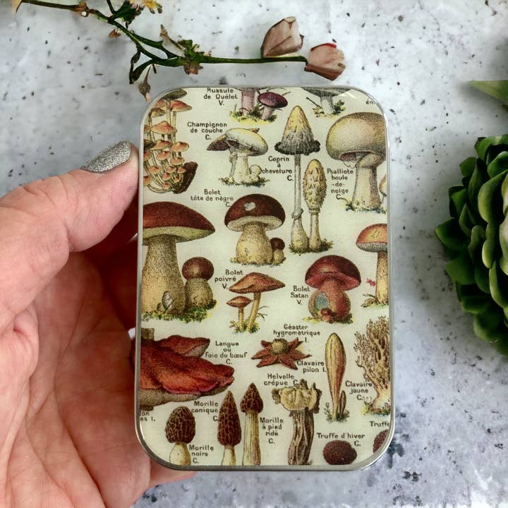 Firefly Notes - Wholesale Jewelry Box/Organizer - Mushroom Storage Tin1