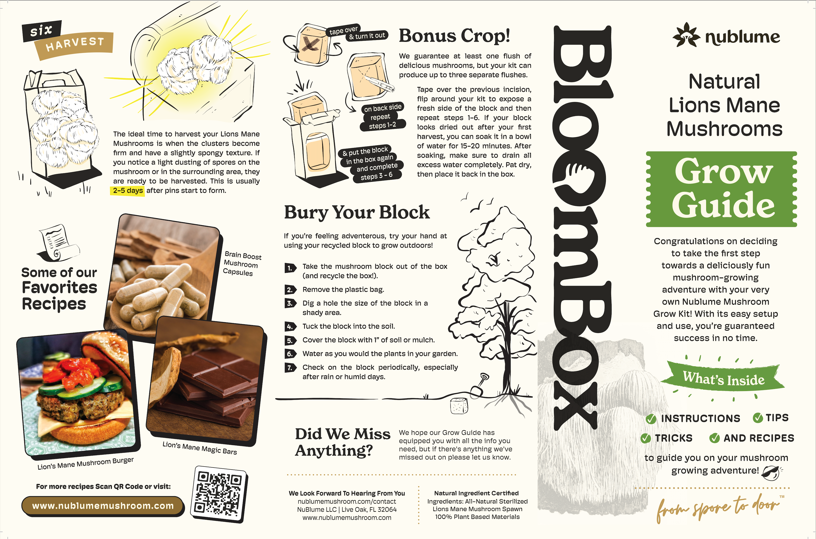 Nublume Mushroom - Wholesale Planter Box - Lion’s Mane Mushroom Grow Kit | DIY Indoor Garden | Gift7