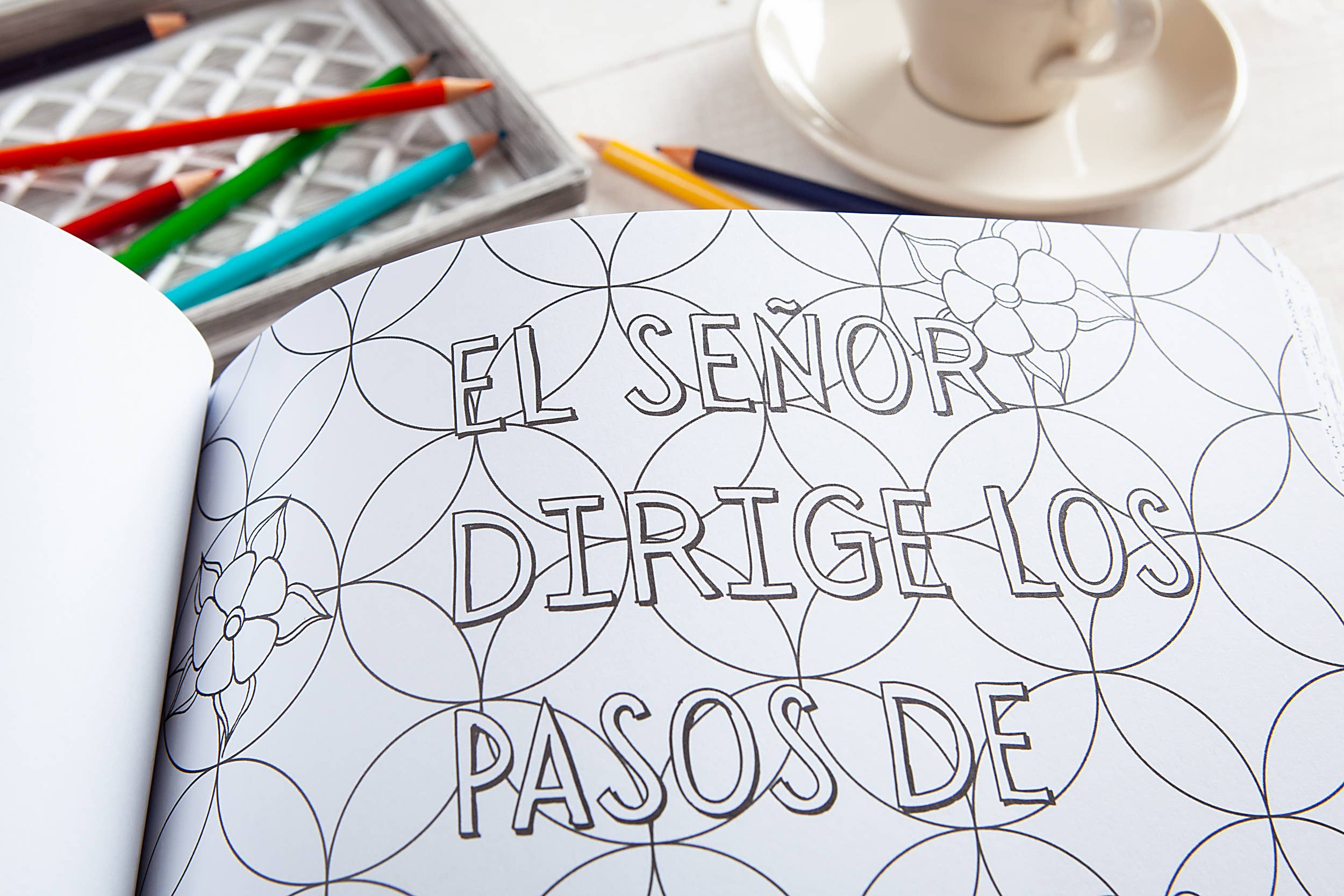 BroadStreet Publishing Group, LLC - Wholesale Coloring & Activity Book - Adult - Los Salmos más queridos (Spanish coloring book)2