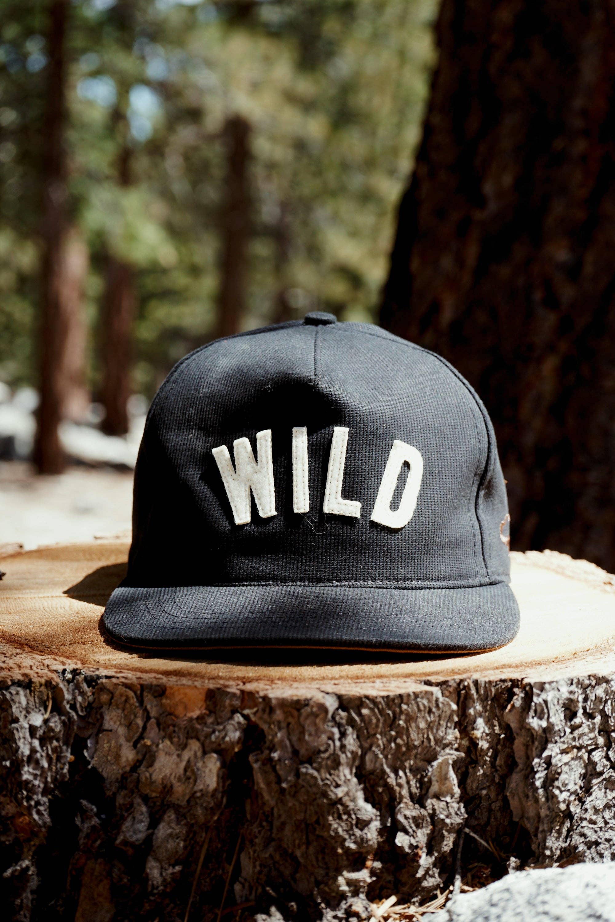 Wild Cane Supply Co. - Wholesale Flat Brim Cap - Unisex - Wild Cane x Ampal Creative: Wild Hat0
