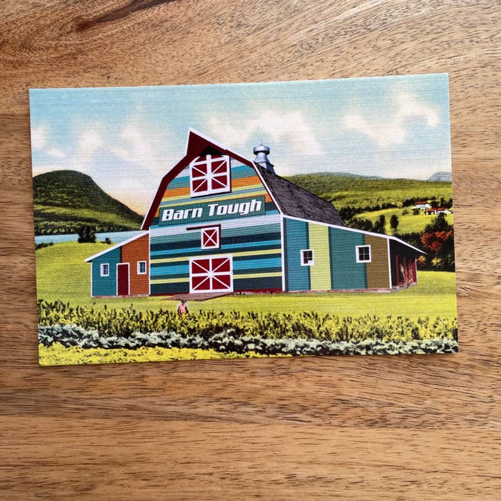 Postais de celeiro com padrão de meias engraçadas e resistentes por atacado de Colossal Sanders