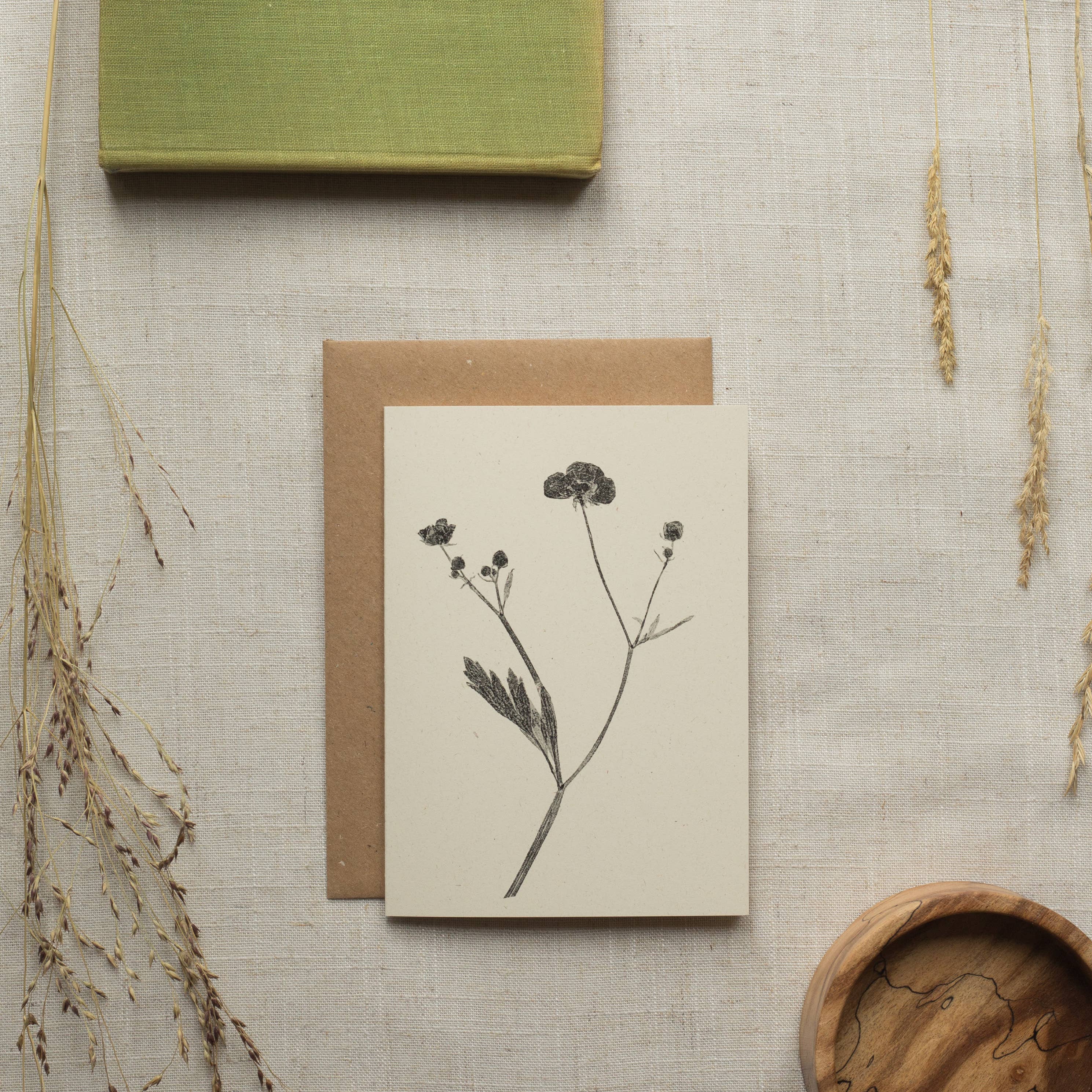 Alicia Breakspear – wholesale Everyday greeting card – Meadow Buttercup Flower Greeting Card A6 Recycled Card5