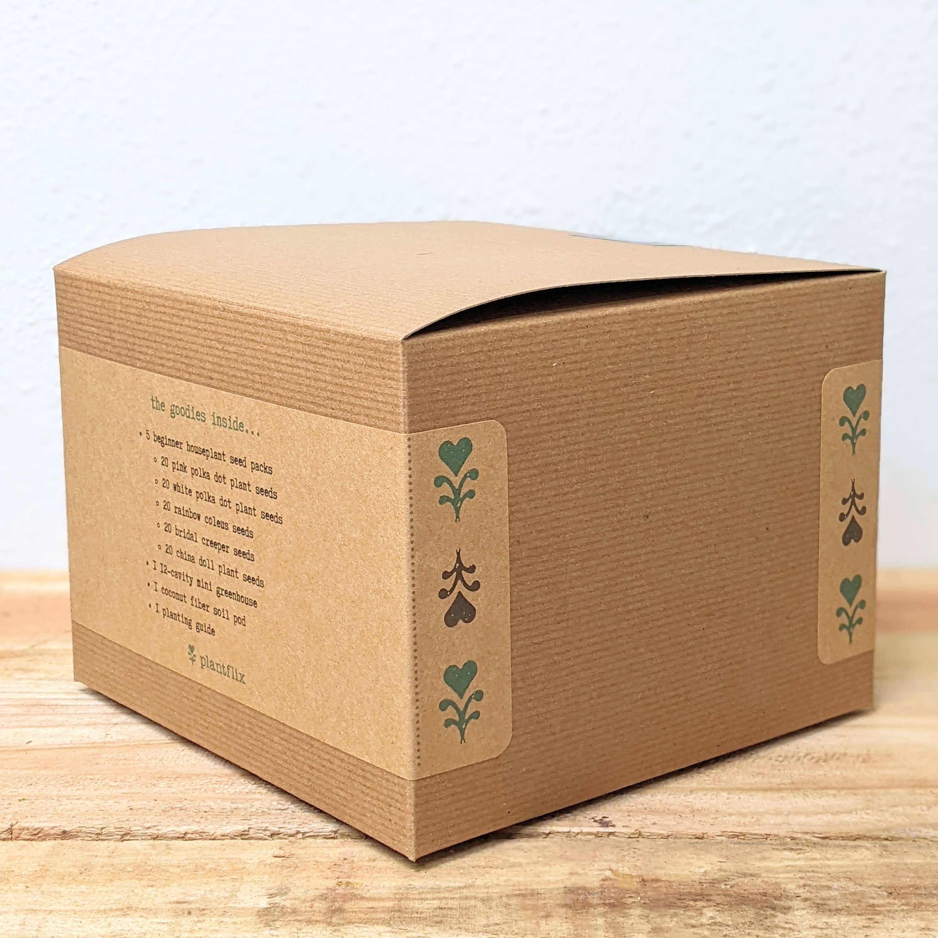 Plantflix - Vente Graines de plantes - Kit de graines pour plantes d'intérieur « Grow an Indoor Jungle »12