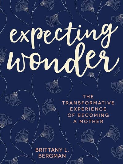 Expecting Wonder for wholesale by Broadleaf Books