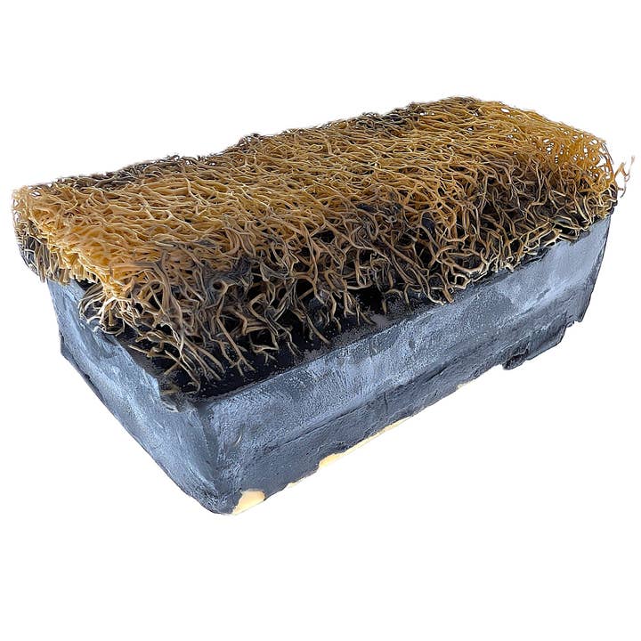 VBosnali Savon Exfoliant à la Loofah – Barre de Bain au Lait de Chèvre Fait Main pour le Visage & le Corps, Nettoyage Hydratant & Revigorant (Carbone Noir) et autres tendances Résultats pour savon éponge noir en vente B2B. Retours gratuits et paiement à 60 jours sur Faire sur Faire.