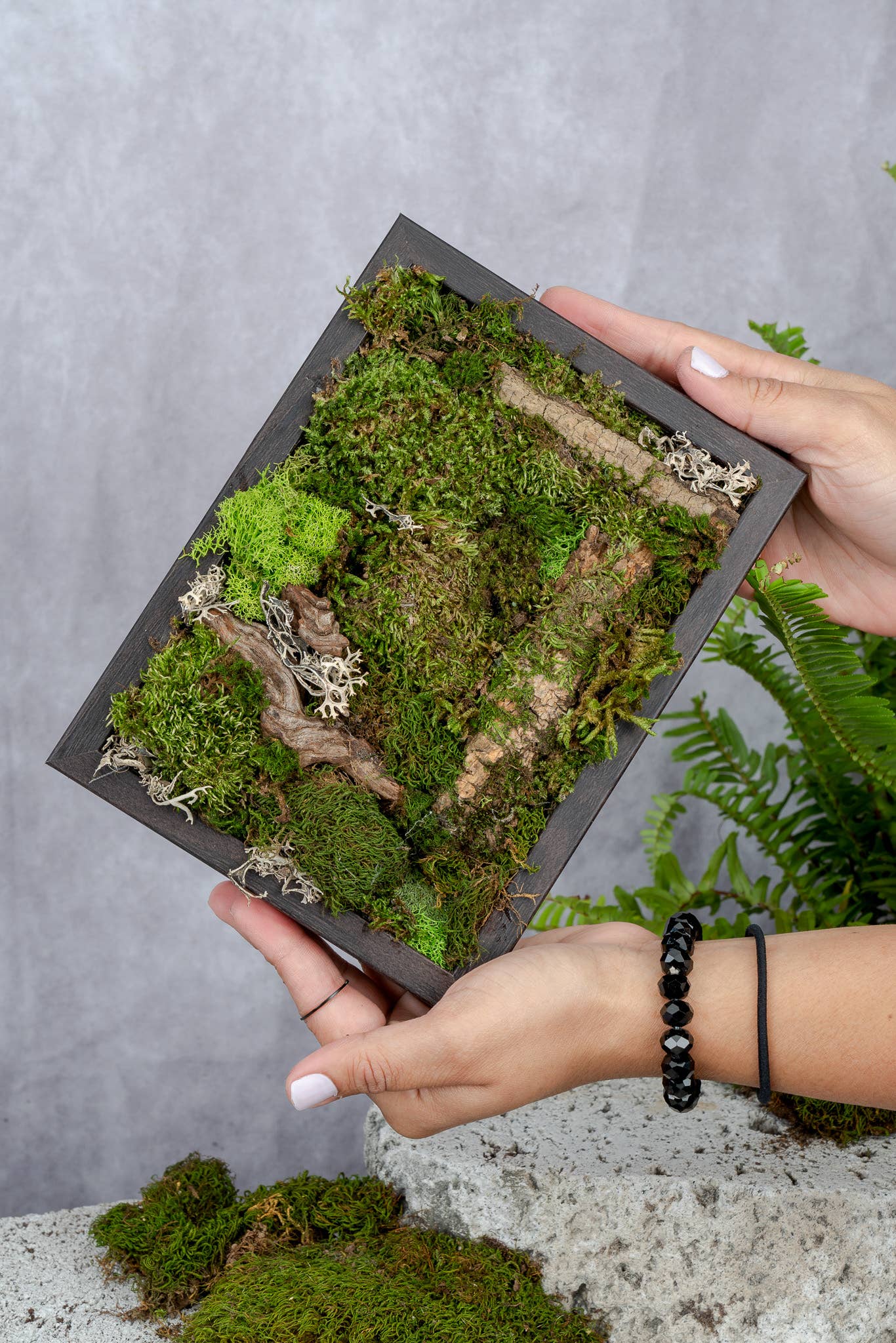 TERRART NYC - Wholesale Wall Planter - Nature's Canvas Moss Wall5