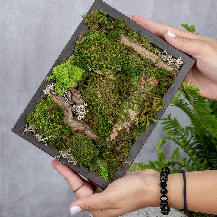 TERRART NYC - Wholesale Wall Planter - Nature's Canvas Moss Wall5