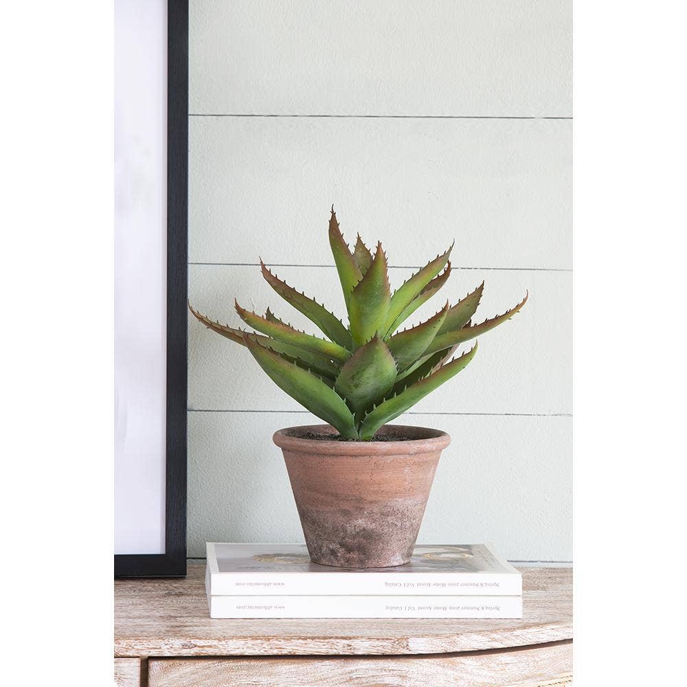 A&B Home Group Inc. – wholesale Artificial plant – Succulent11