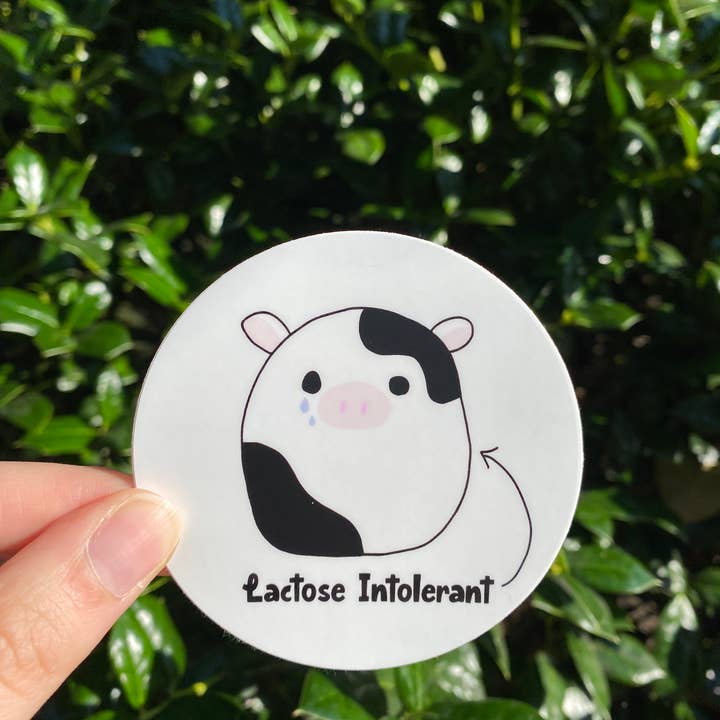 Lactose Intolerant Cow | Waterproof Sticker for wholesale by Shelly and Hop's Paper Shop