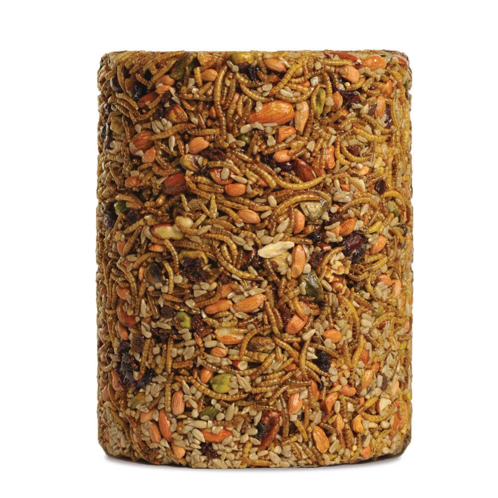 Mr Bird - Wholesale Pet Food - Not Cat/Dog - Bugs, Nuts, & Fruit Cylinder - Large1