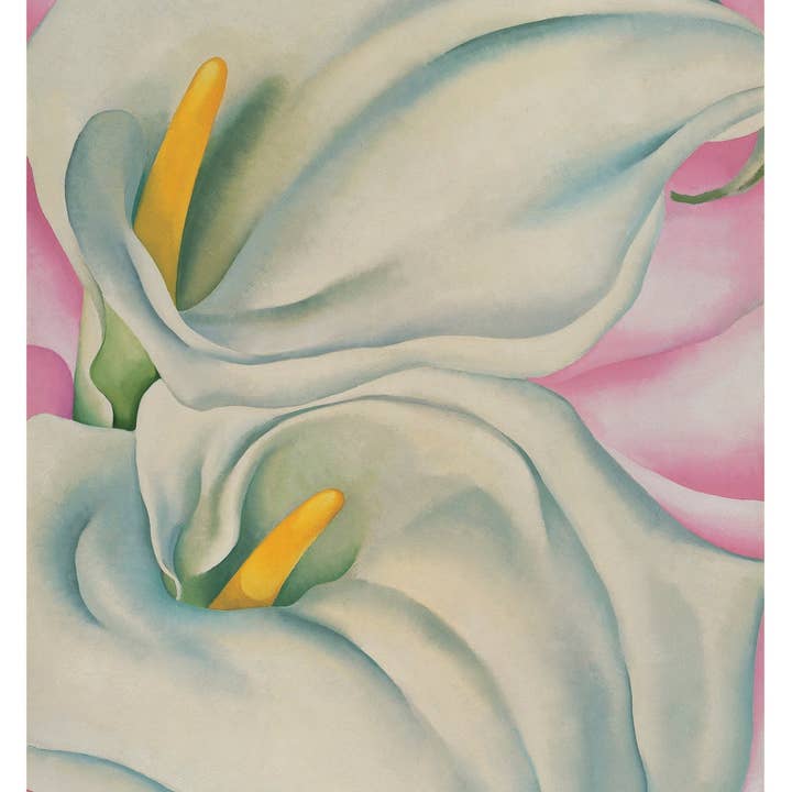 Pomegranate - Wholesale Stationery/Notecard Set - Georgia O’Keeffe: Two Calla Lilies on Pink Small Boxed Cards1