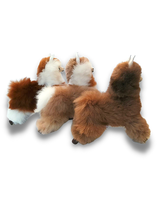 Blossom Inspirations – wholesale Stuffed/plush toy – Kids & baby – Llamaflash Alpaca fur toy3