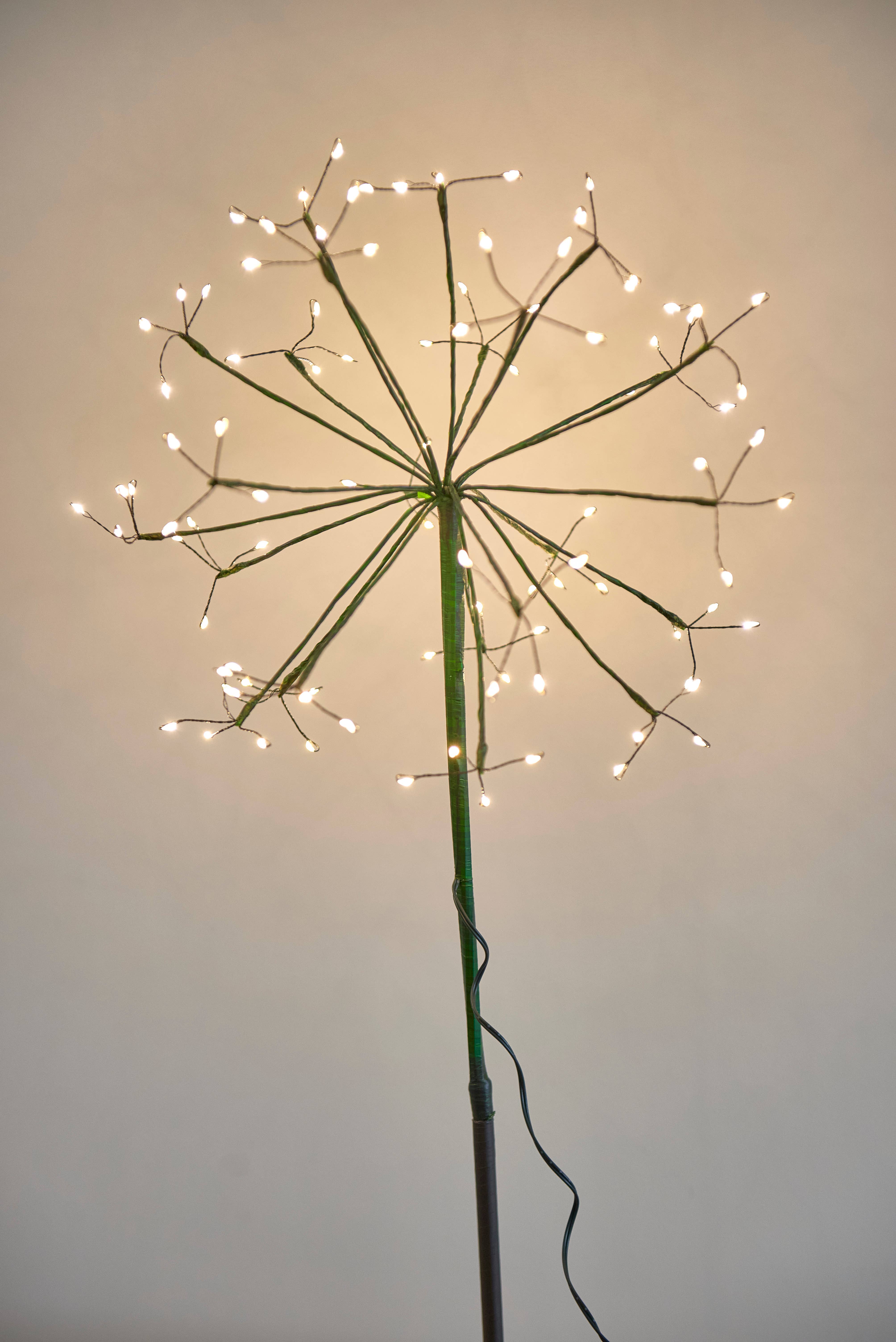 Lightstyle London - Vendita all'ingrosso Luce per esterni/da giardino - Tarassaco verde2