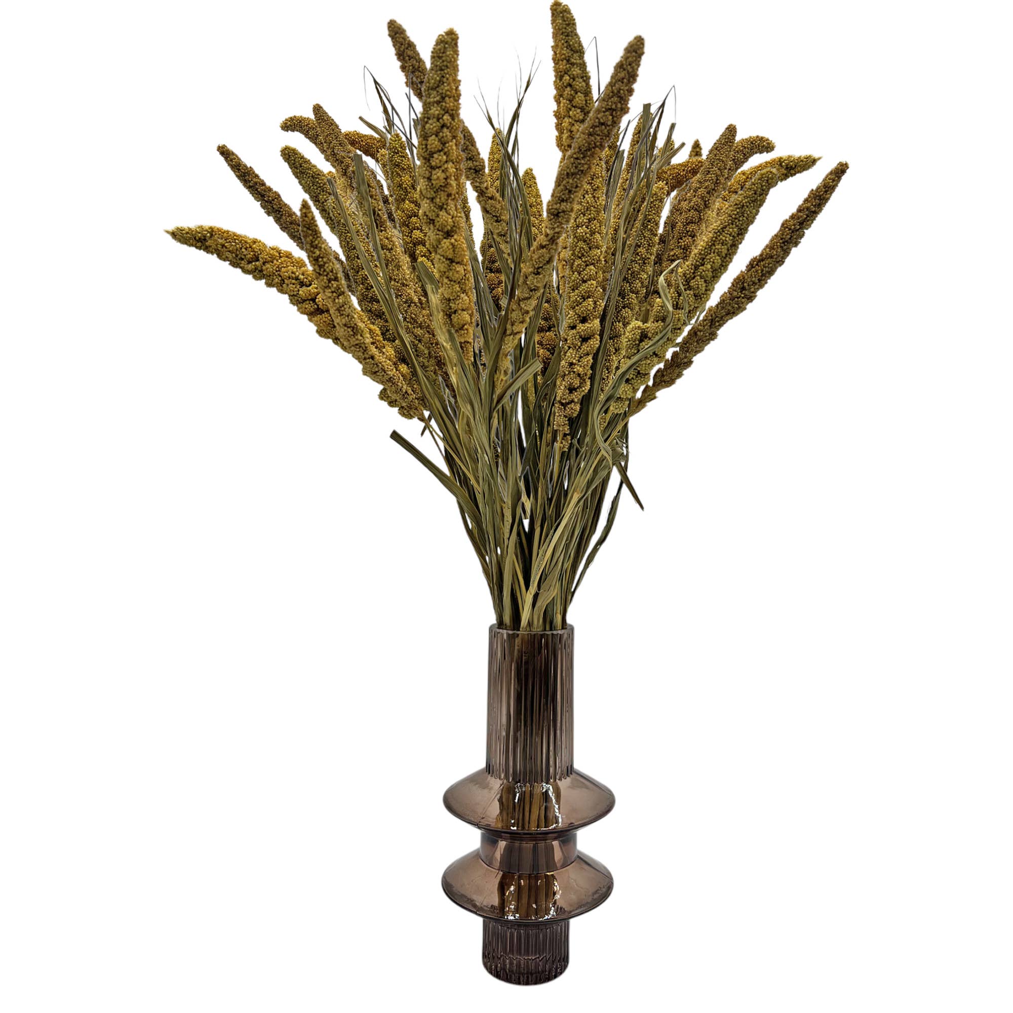 2626 Designs - Wholesale Dried/Pressed Flowers - Dried Preserved Millet Flower 21" Multiple Colors9