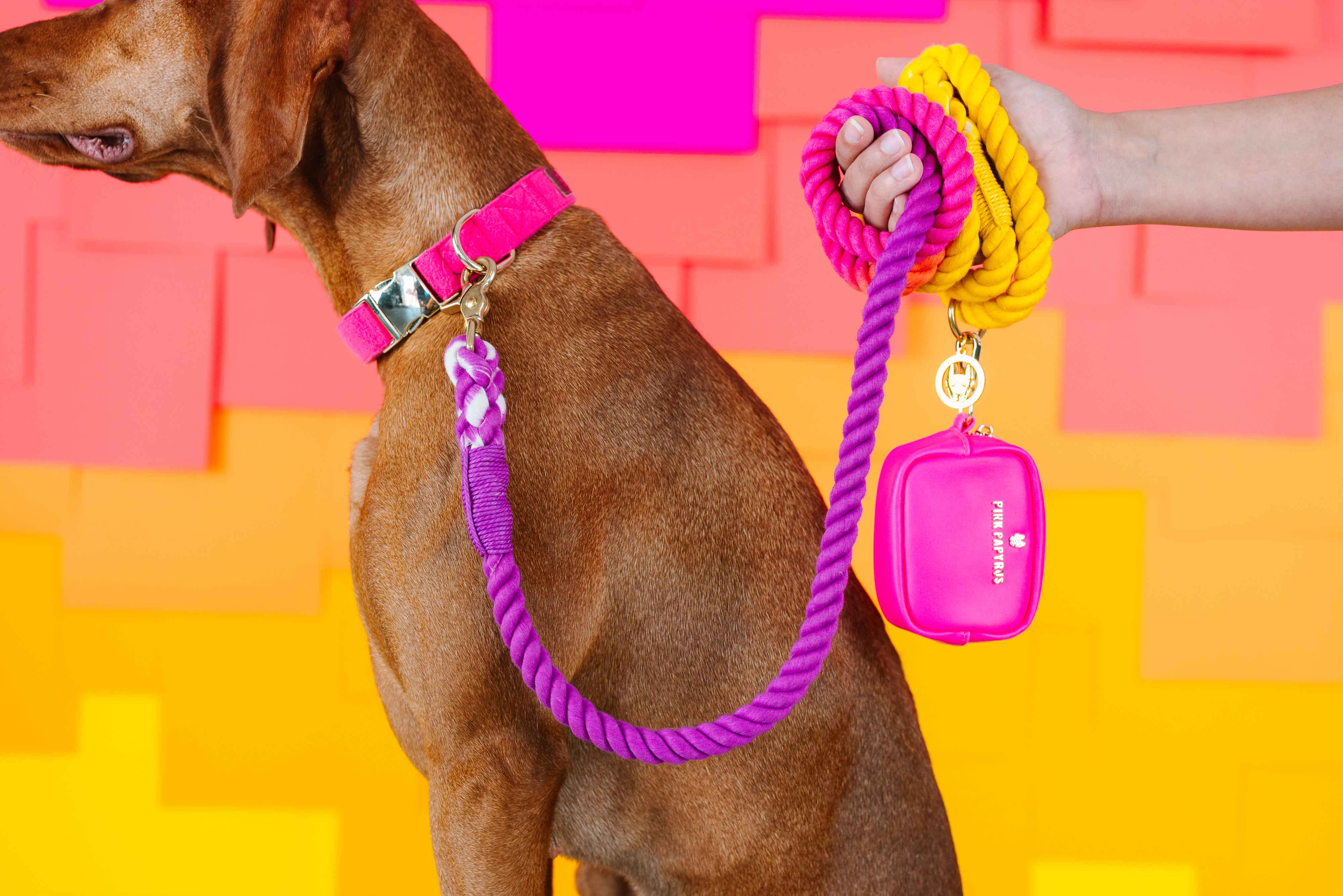 Pink Papyrus | Premium, Durable, & Stylish Dog Products - Wholesale Pet Leash - Dog - Rope Leash MEGA Bundle | Dog Leash Pack | Dog Lead Bundle 6