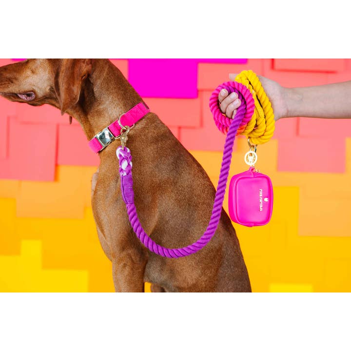 Pink Papyrus | Premium, Durable, & Stylish Dog Products - Wholesale Pet Leash - Dog - Rope Leash MEGA Bundle | Dog Leash Pack | Dog Lead Bundle 6