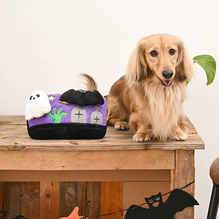 Hugsmart Products Inc - Wholesale Pet Plush Toy - Dog - HugSmart Pet - Howloween Night | Horror Night - Plush Toy2