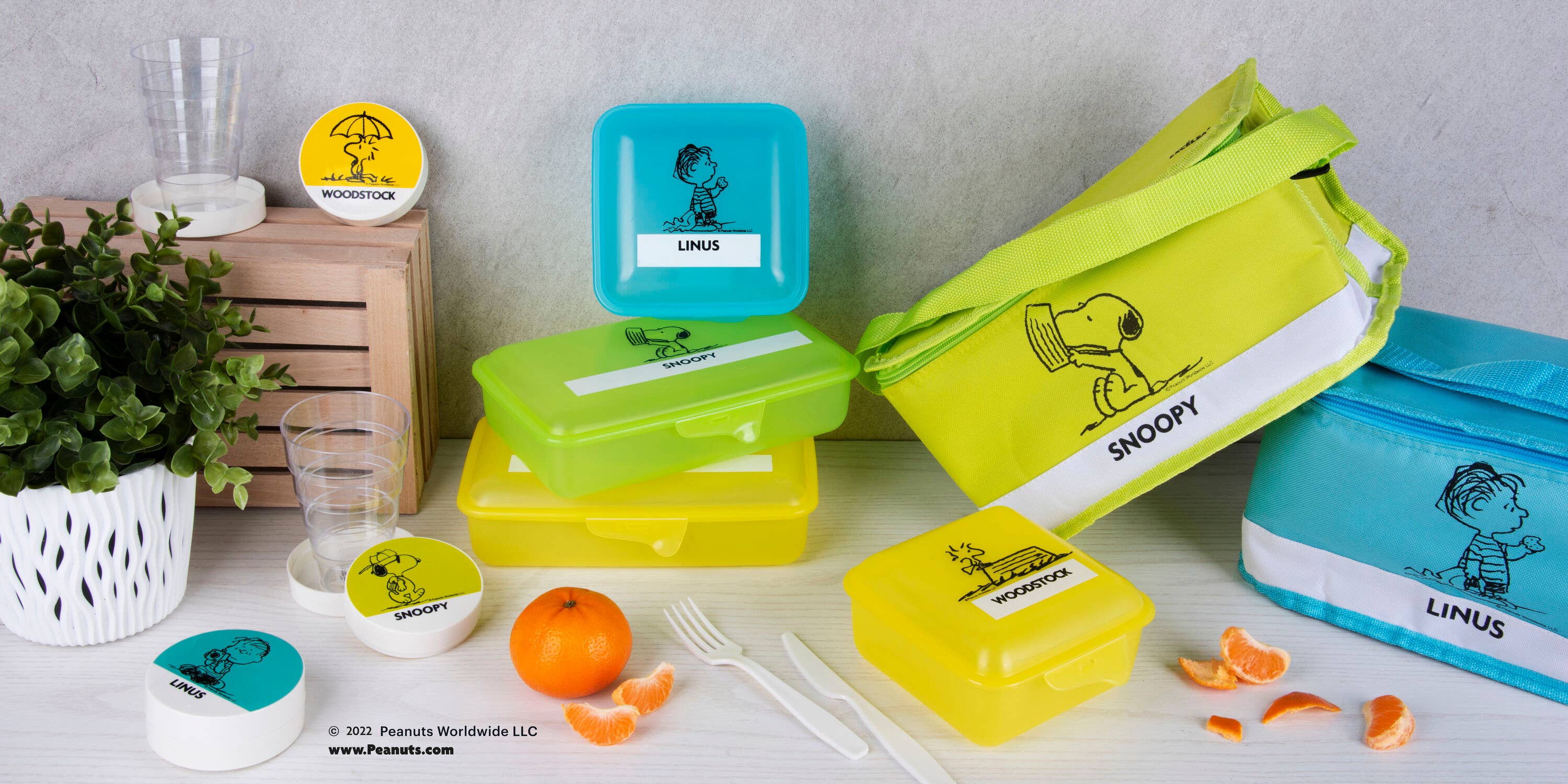 Snoopy Thermal Bag 7 Liters – Large Capacity, Durable Materials, Ideal for Lunch and Travel, Green for wholesale on Faire3