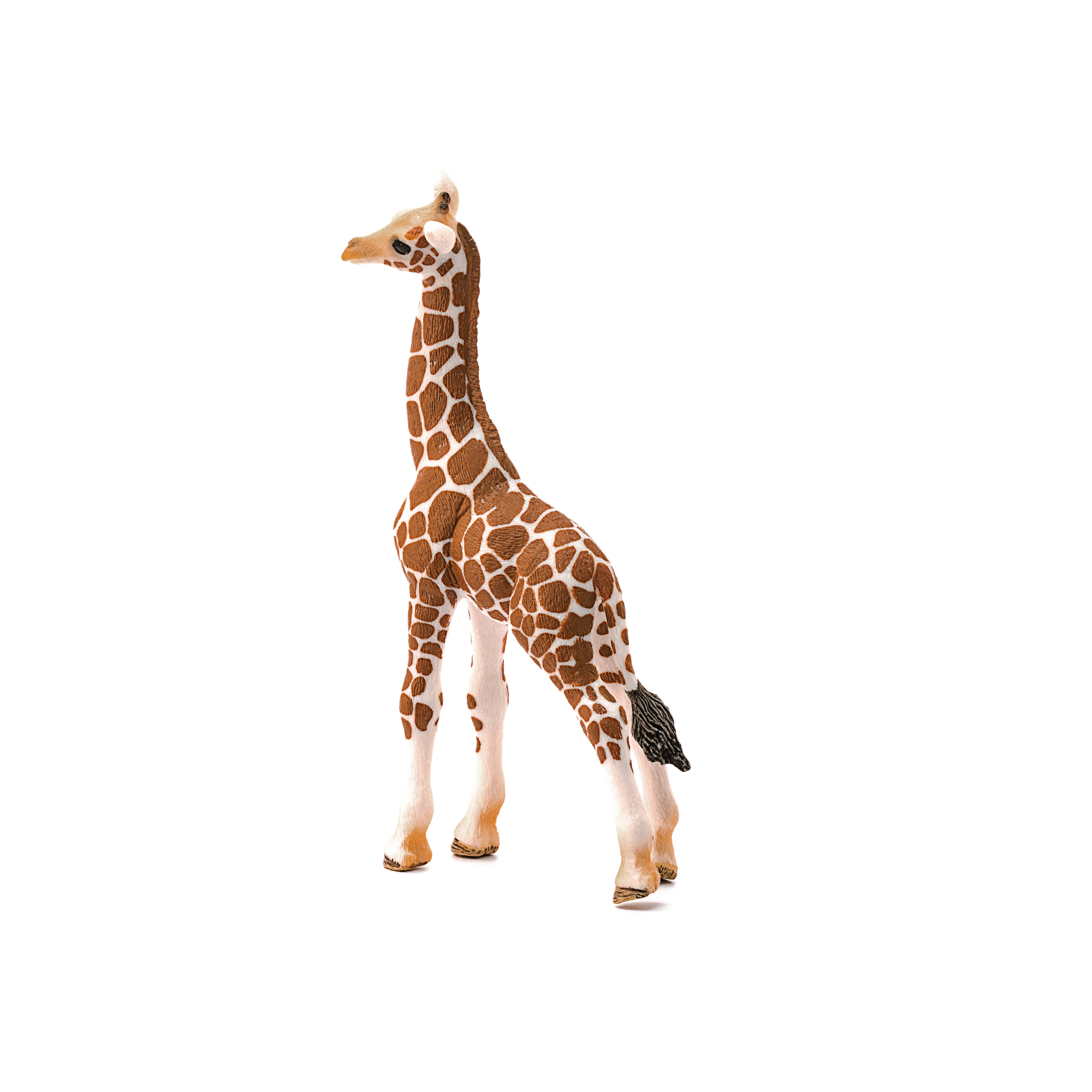 Schleich - Wholesale Figurine Toy - Kids - Giraffe Calf Safari Animal Toy3