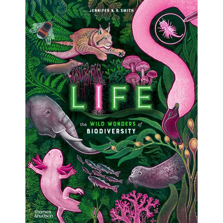 Life: The Wild Wonders of Biodiversity for wholesale by W. W. Norton